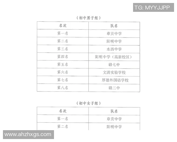 2017年足球联赛排名分析及各队表现回顾与未来展望