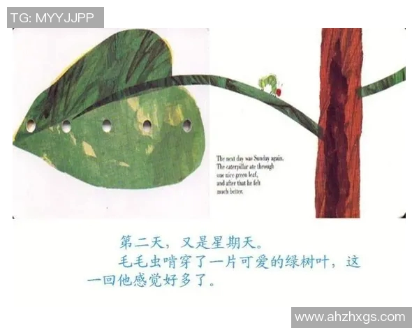 25个足球的奇妙旅程探索与成长的故事 25个足球的奇妙旅程探索与成长的故事