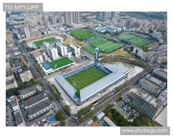 专用足球场建设的重要性与对青少年体育发展的积极影响分析